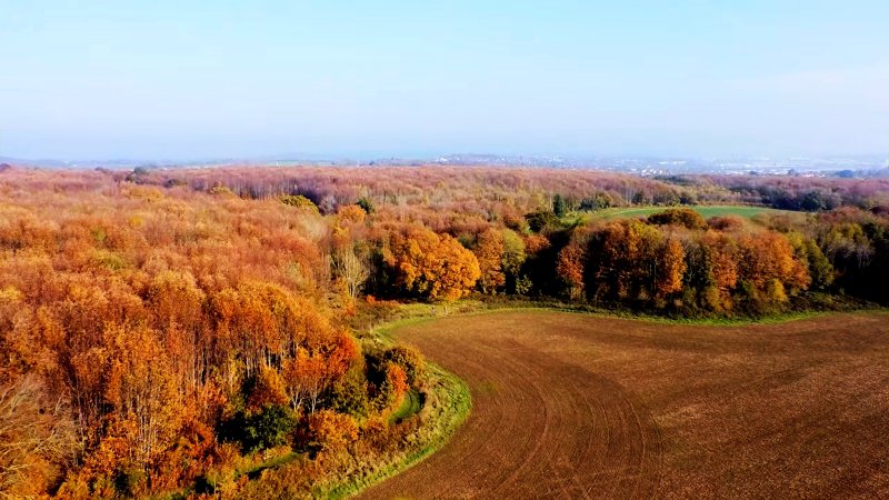 2020-11-08 (6)_Photographic_Photographic.jpg