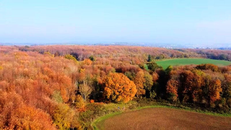 2020-11-08 (8)_Deep.jpg