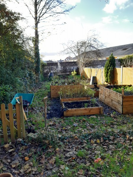 2020-11-12 13.32.12.jpg