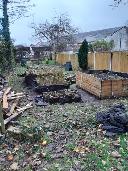 2020-11-15 14.08.37.jpg