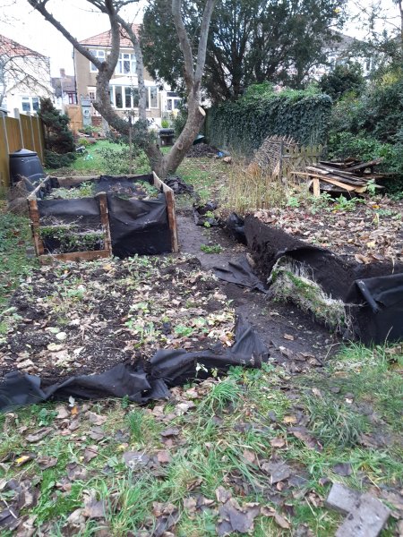 2020-11-15 14.08.50.jpg