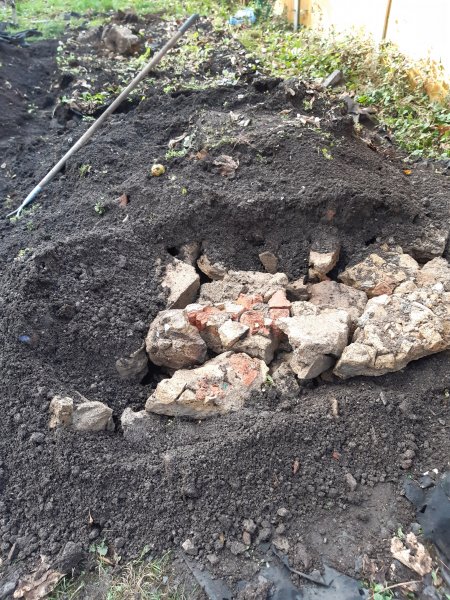 2020-11-19 12.54.42.jpg