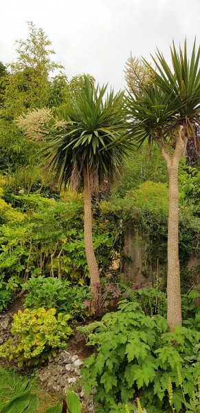 20200603_192417 (2).jpg