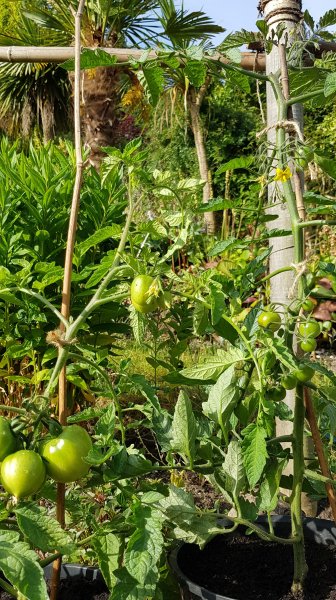 20200607_081953 (2).jpg