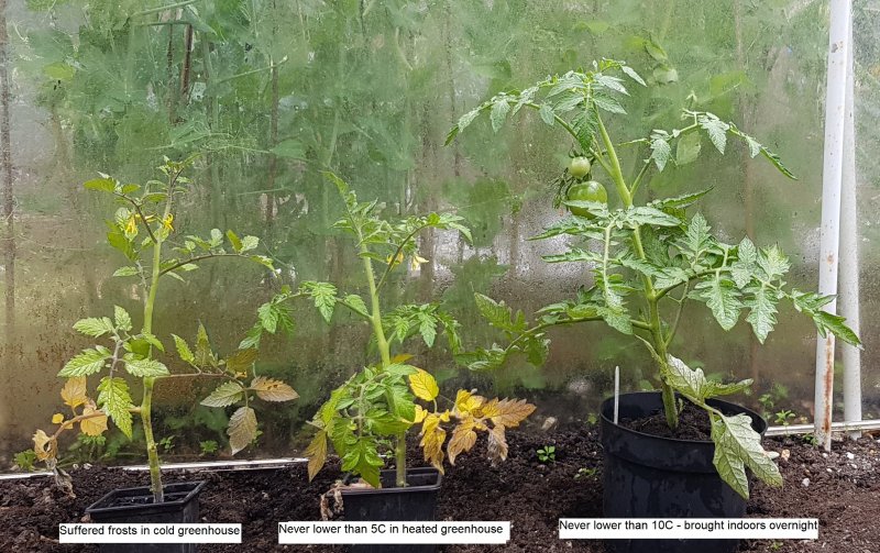 20200608_141735 (2).jpg