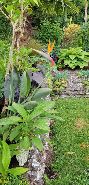 20200612_193129 (2).jpg