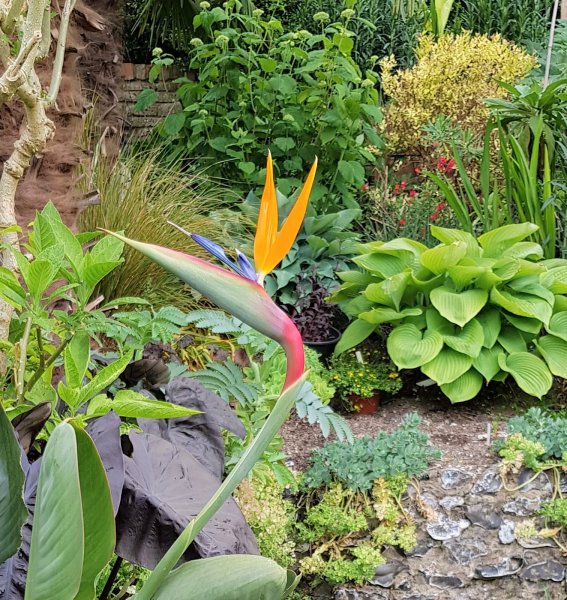 20200612_193129 (3).jpg