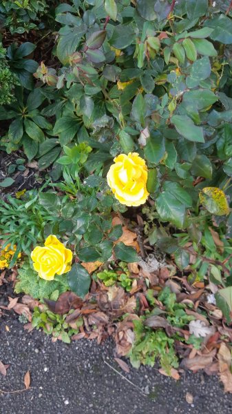 20201101_104539.jpg