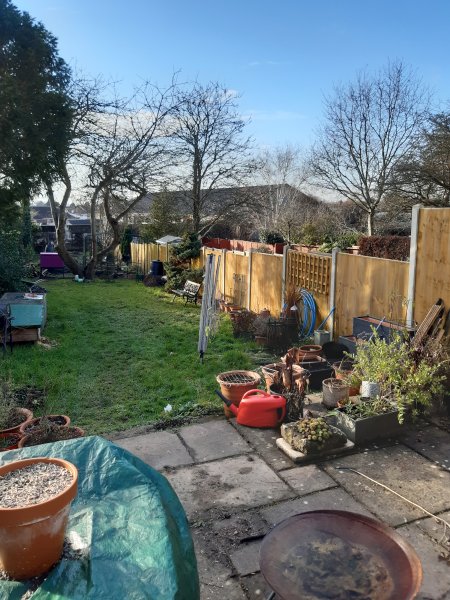 2021-01-05 13.32.00.jpg