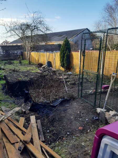 2021-01-05 13.33.05.jpg