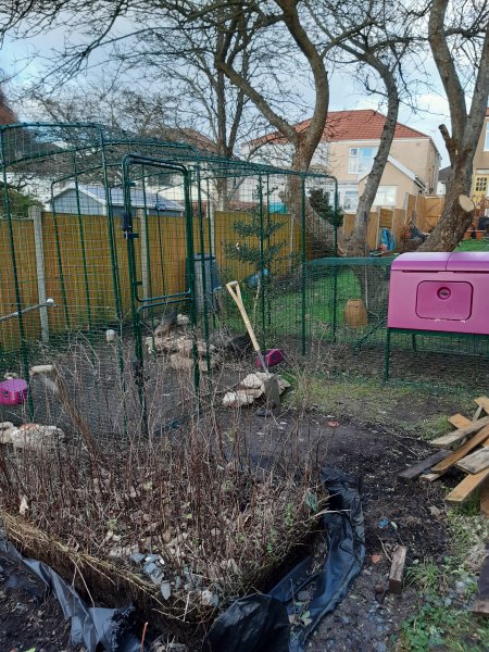 2021-01-05 14.43.55.jpg