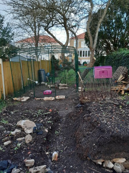 2021-01-05 14.44.06.jpg