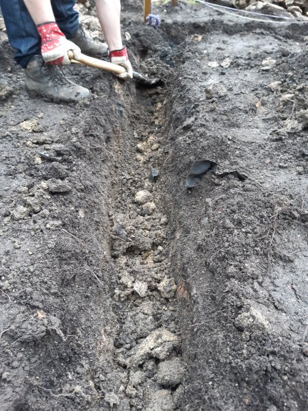 2021-01-16 13.10.42.jpg