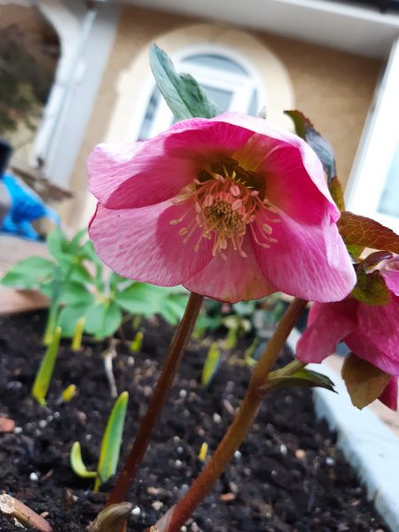 2021-02-07 13.27.30.jpg