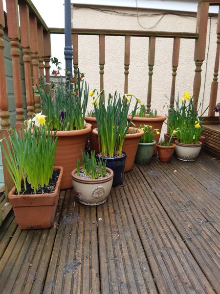 2021-02-21 12.08.10.jpg