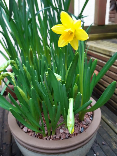 2021-02-21 16.09.26.jpg