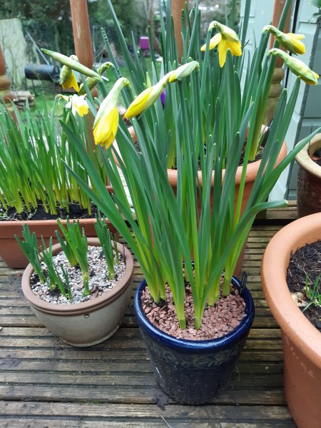 2021-02-21 16.09.38.jpg