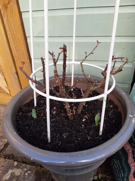 2021-02-22 14.48.10.jpg