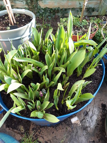 2021-02-22 15.00.30.jpg