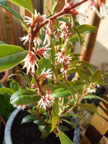 2021-02-22 15.05.06.jpg