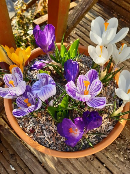 2021-03-16 16.45.00.jpg