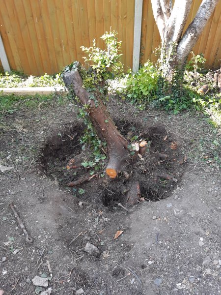 2021-04-18 16.36.35.jpg