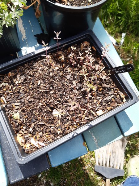 2021-05-06 12.39.17.jpg