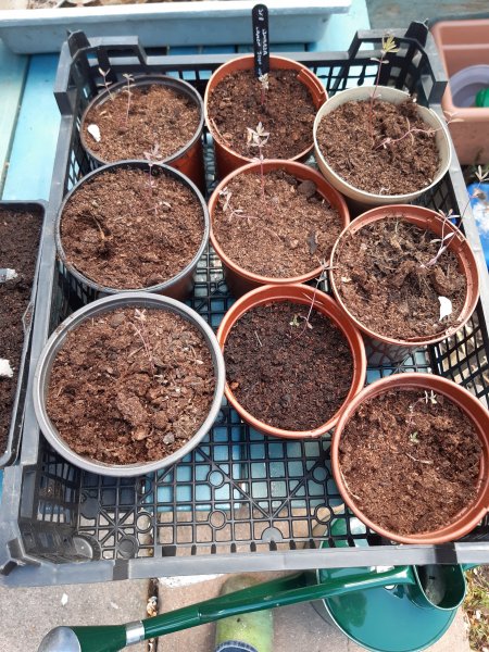 2021-05-07 13.24.26.jpg