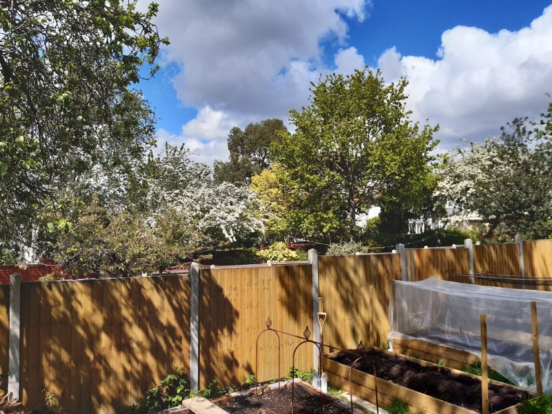 2021-05-11 14.07.08.jpg