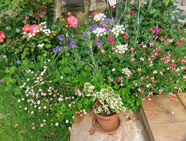 2021-06-27 08.51.52-2.jpg