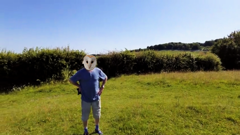 2021-07-18 (5) - Copy.png