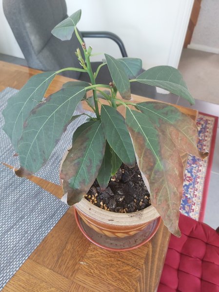 20210512_135824 2000.jpg