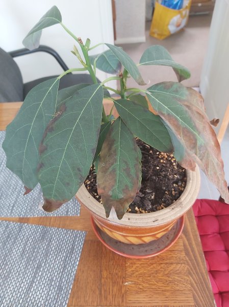 20210512_135848 2000.jpg