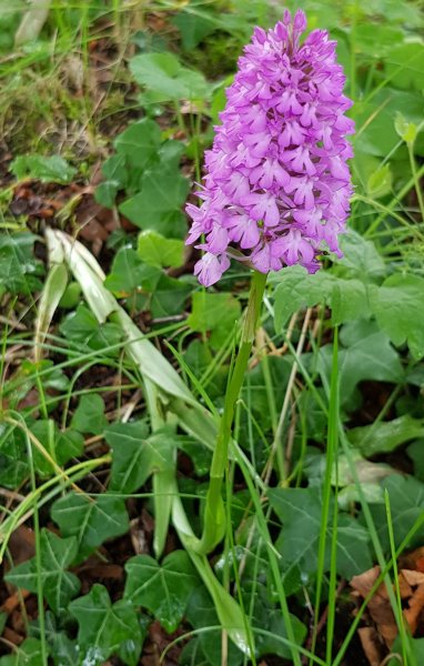 20210704_163601 (2).jpg