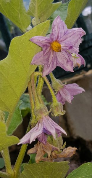 20210713_174159 (2).jpg