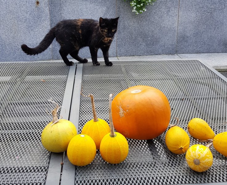 20211027_121622 (2).jpg