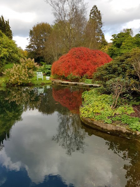 20211101_131803 (2).JPG