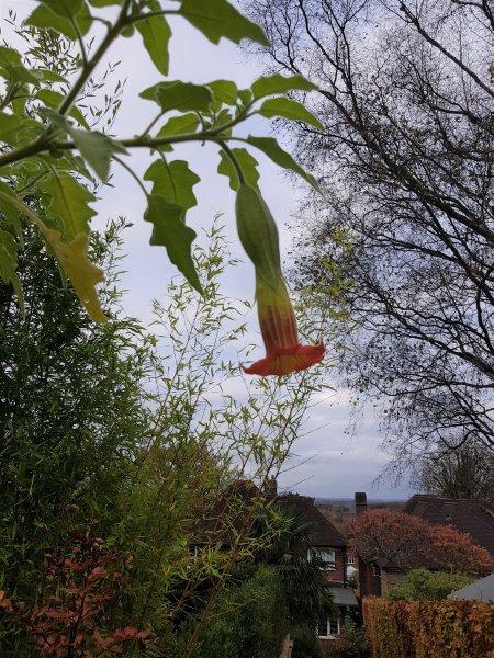 20211113_143122 (2).jpg