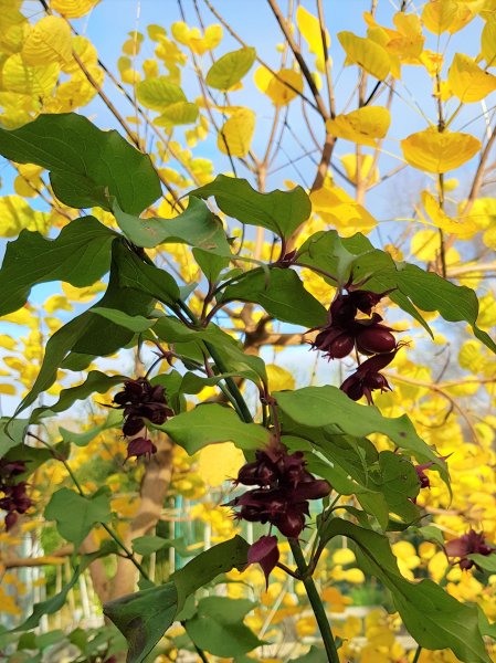 20211121_102359 (2).jpg