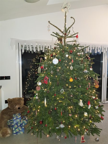 20211215_222536 (2).jpg