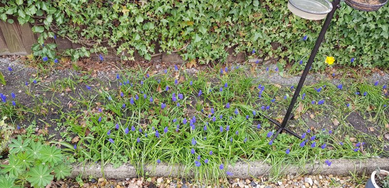 20220405_105603 (2).jpg