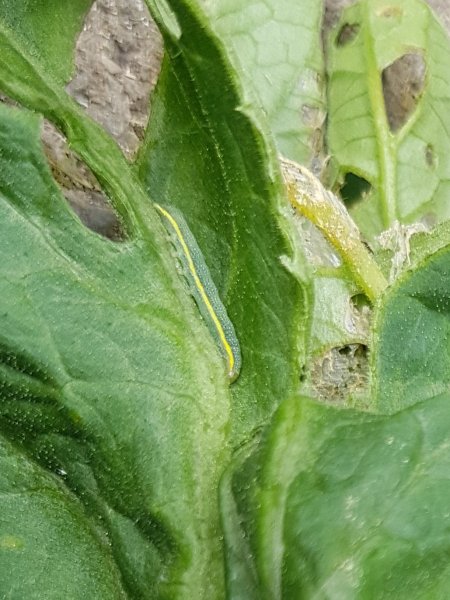 20220803_112551 (2).jpg