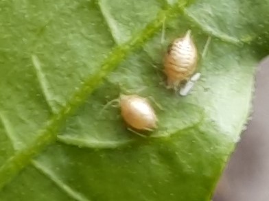 20230619_120313 (2).jpg