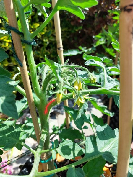 20230621_105655 (1).jpg