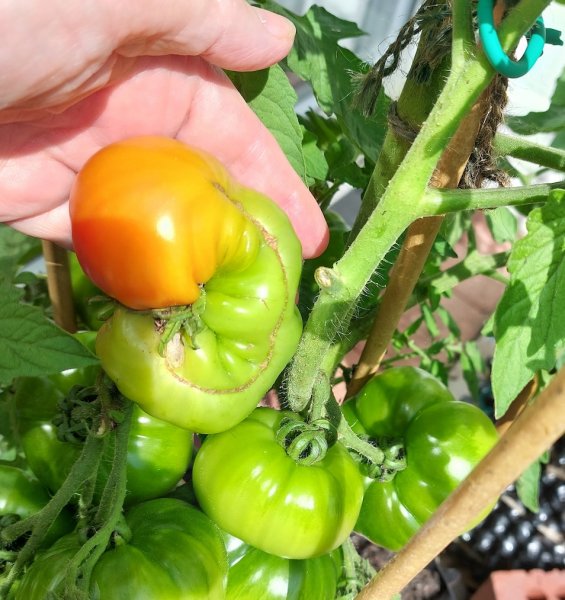 20230808_132132 (1).jpg