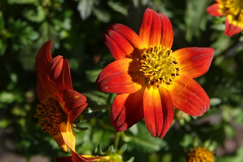 2024-05-17_16-26-36 _cropped.jpg