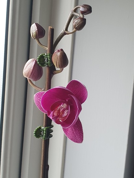 20240104_120641 - small.jpg