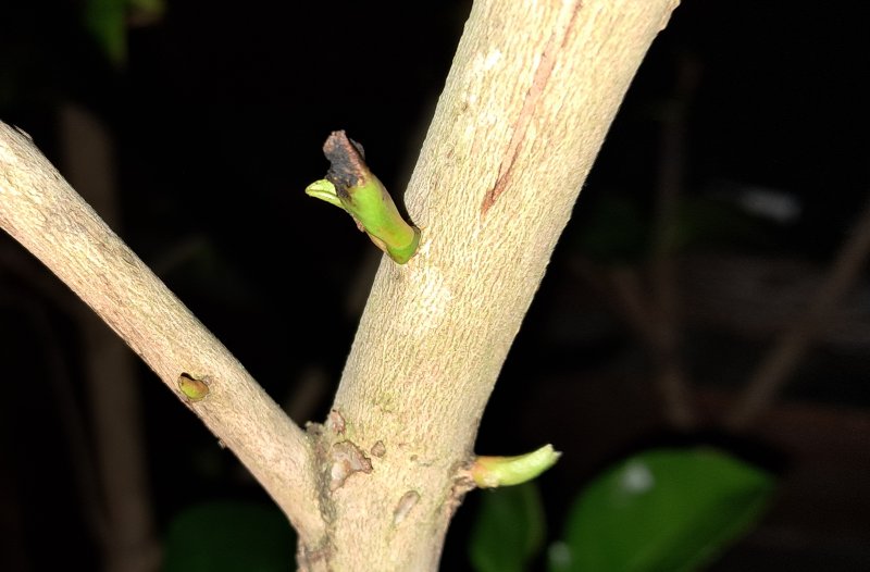 20240122_165606 cropped.jpg