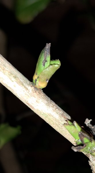 20240122_165636 ropped.jpg