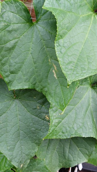 20240629_073541 (1).jpg